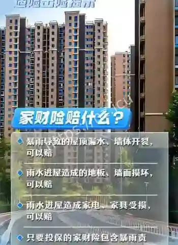 天灾来袭财产损失惨重